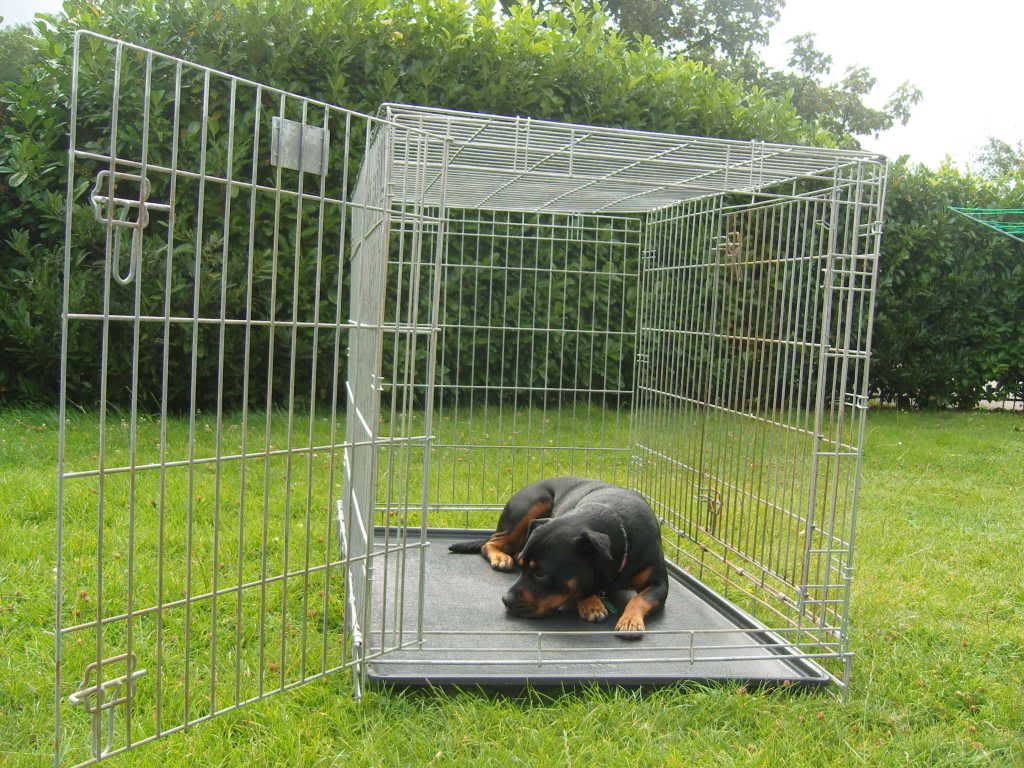 XL / Giant Savic Dog Crate Bedfordshire UK Pet Forums Forum