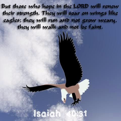 Isaiah 40:31 photo verse5.jpg
