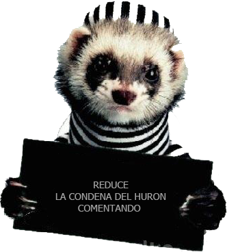 maestro-esclavo maestro-esclavo