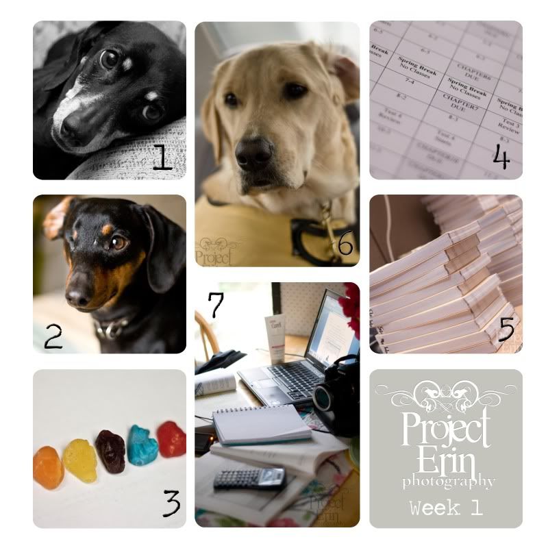 Week 1: Project 365