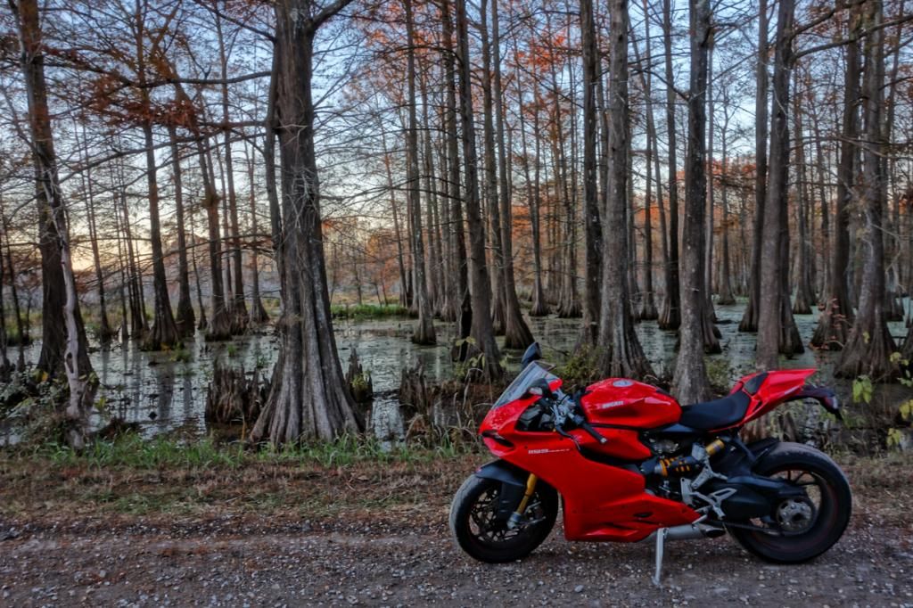 DSC02501x.jpg