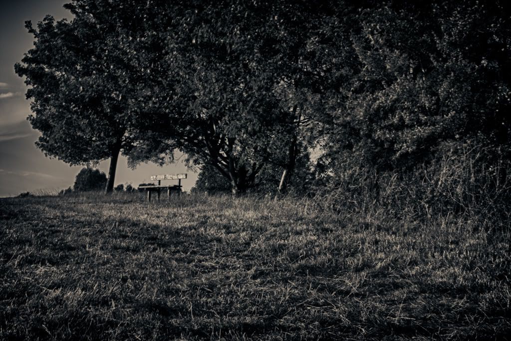 _MG_0341_HDR.jpg