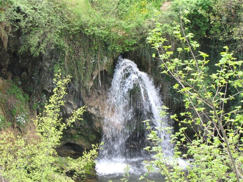 Slika