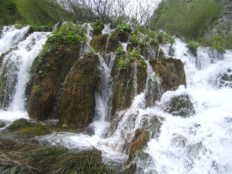 Slika