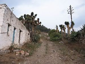 Zacatecas