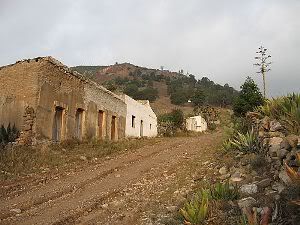 Zacatecas