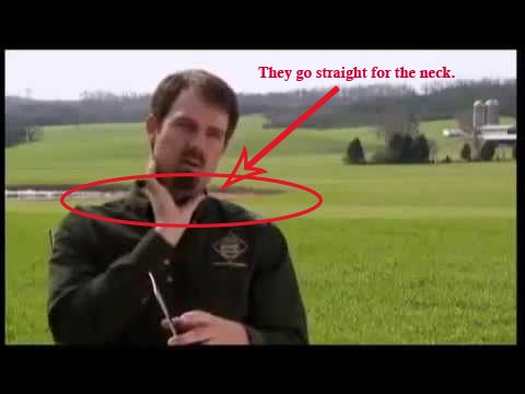 photo AttackExpert_zps8iymdl29.jpg