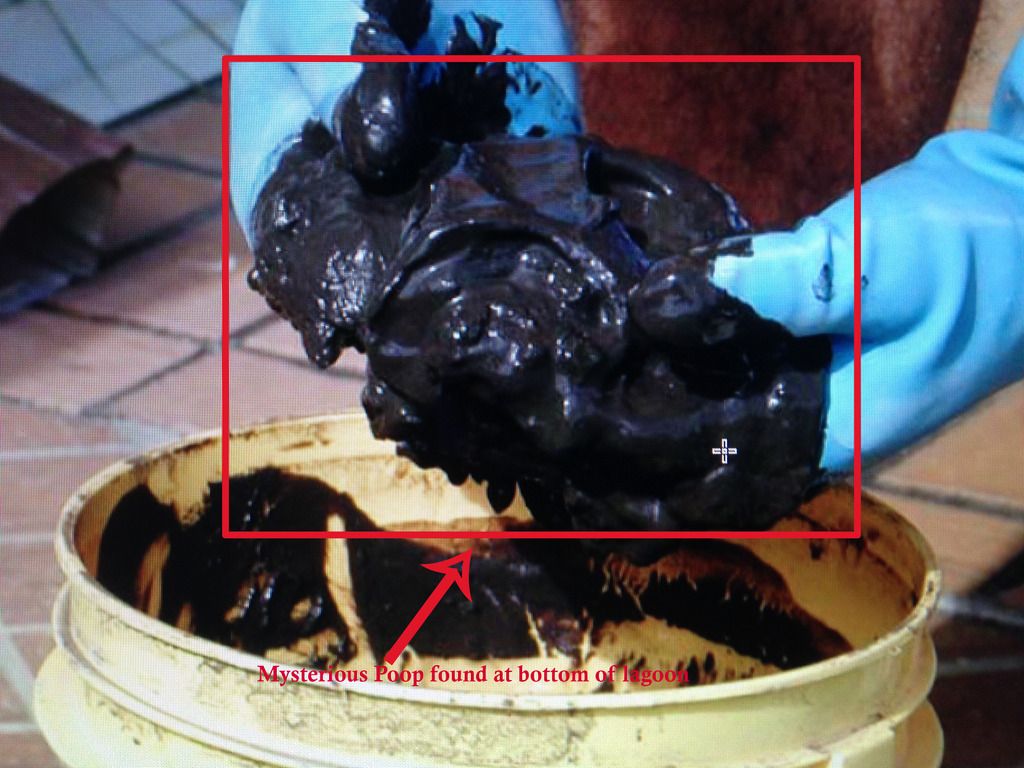 photo Droppings_zpsq9jf2tig.jpg