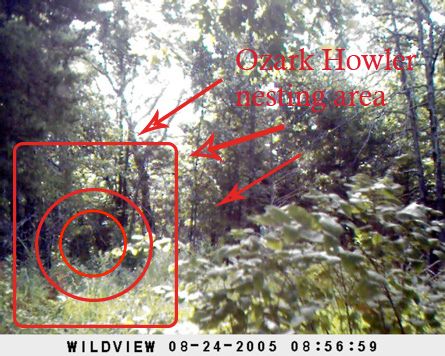 photo OZARK CAPTURED_zpsm14wflay.jpg