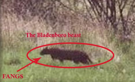 photo bladenboroVC_zpsywcpvlvi.jpg