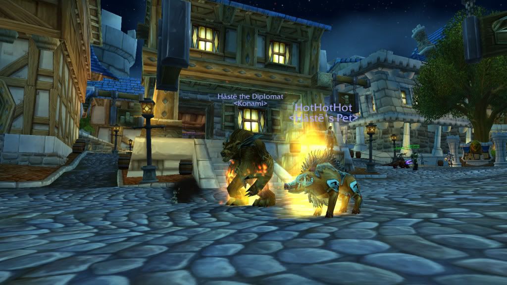 FLAMEBOAR.jpg