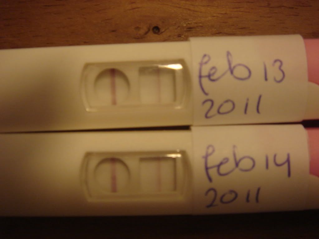 14feb.jpg