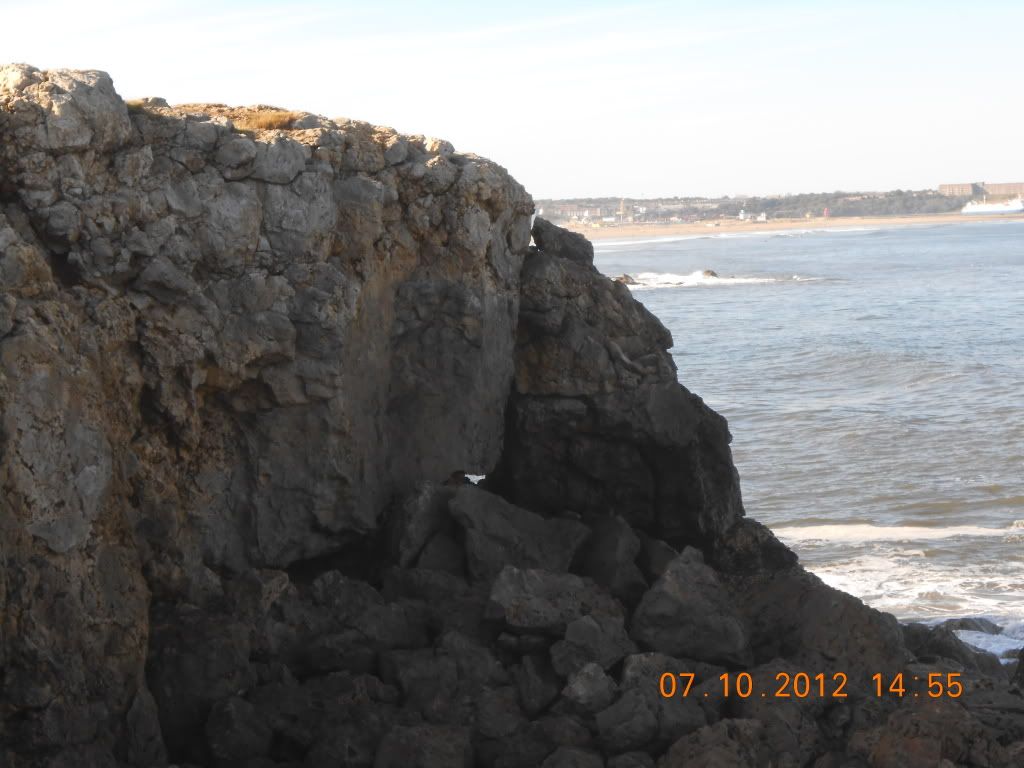 DSCN0066.jpg