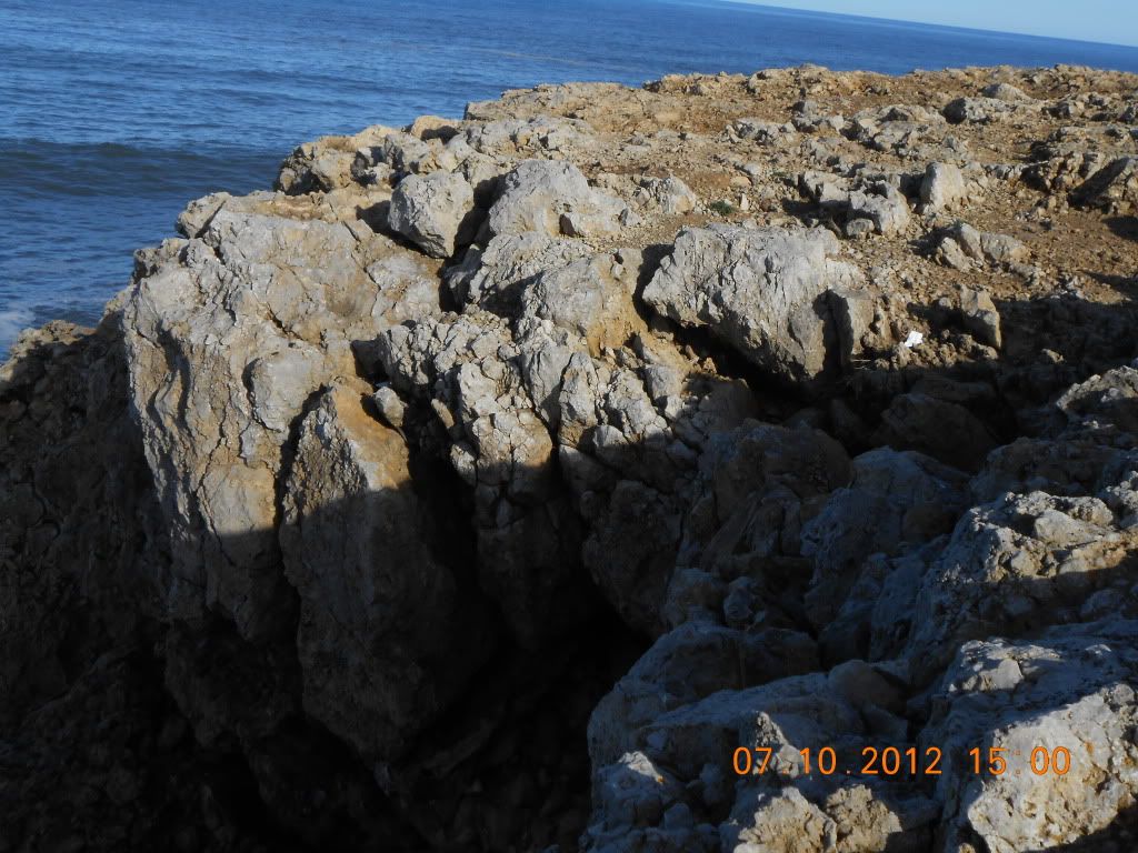DSCN0073.jpg