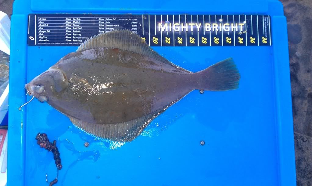IMAG0790.jpg