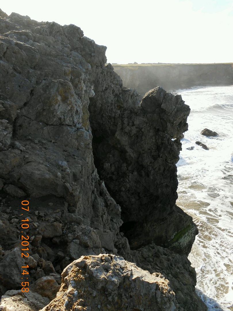 rps20121007_165040.jpg
