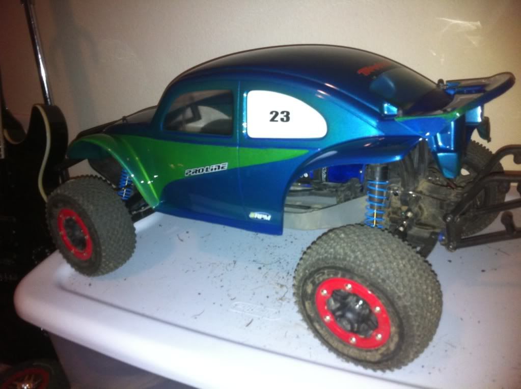 proline bug body