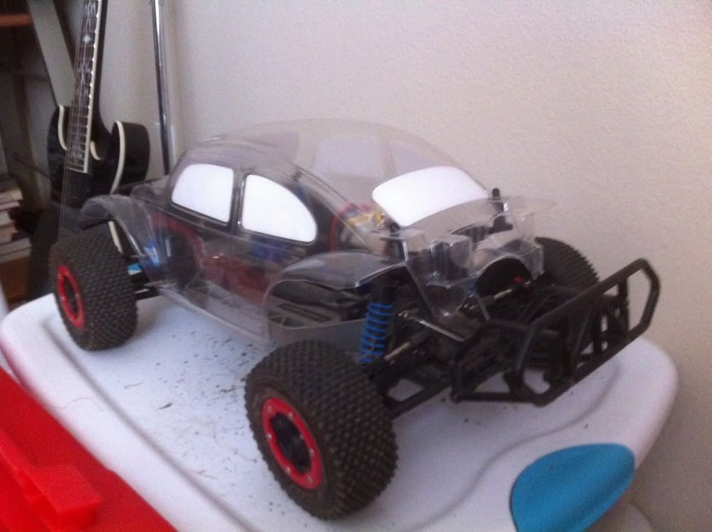 proline bug body
