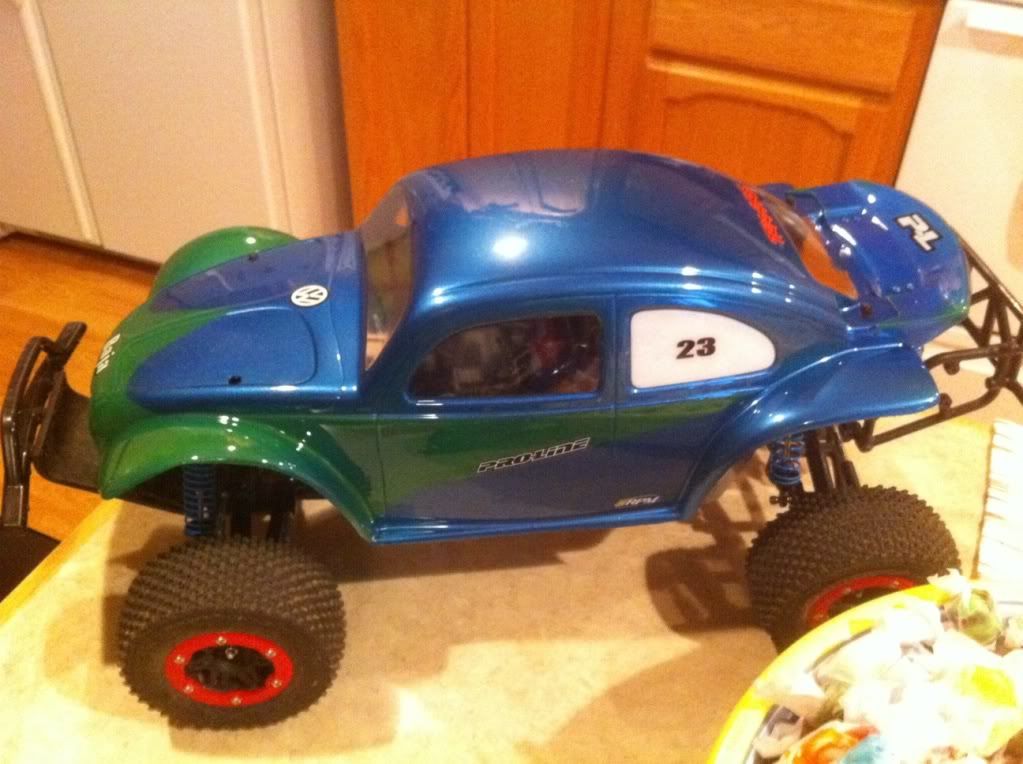 proline bug body