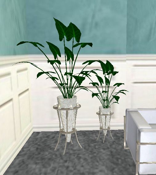  photo white modern planters_zpsageskzzm.jpg