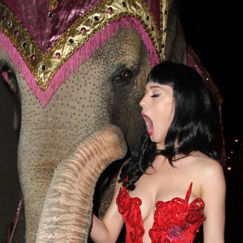 She loves foreskin