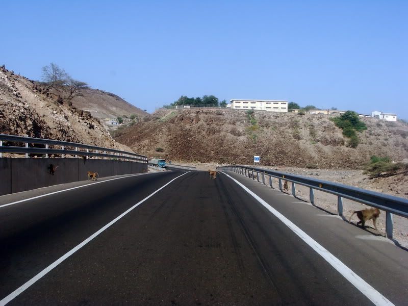 Roads and Highways of Djibouti SkyscraperCity Forum