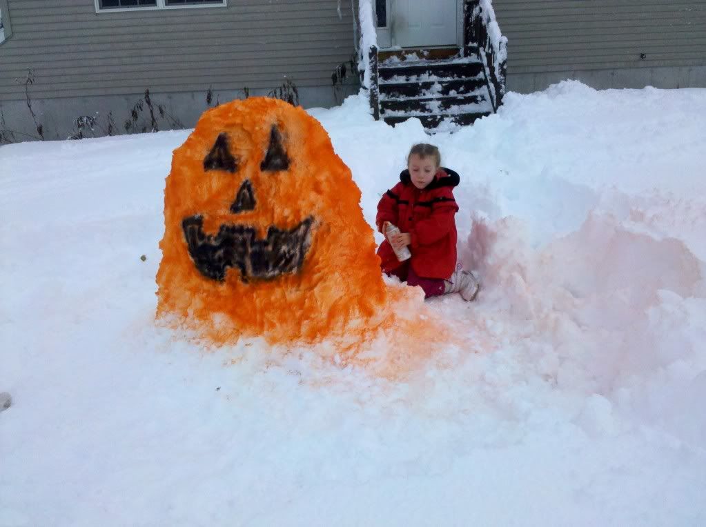 How is the color in your area? - Homesteading Questions