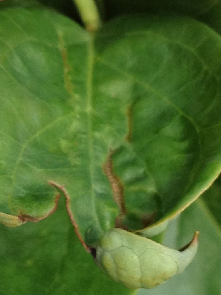 Photobucket Pictures, Images and Photos