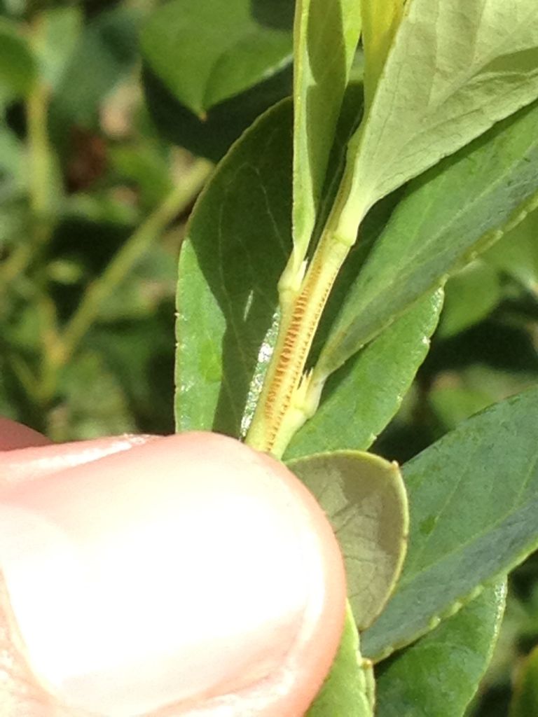 Photobucket Pictures, Images and Photos