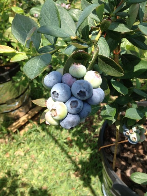 Photobucket Pictures, Images and Photos