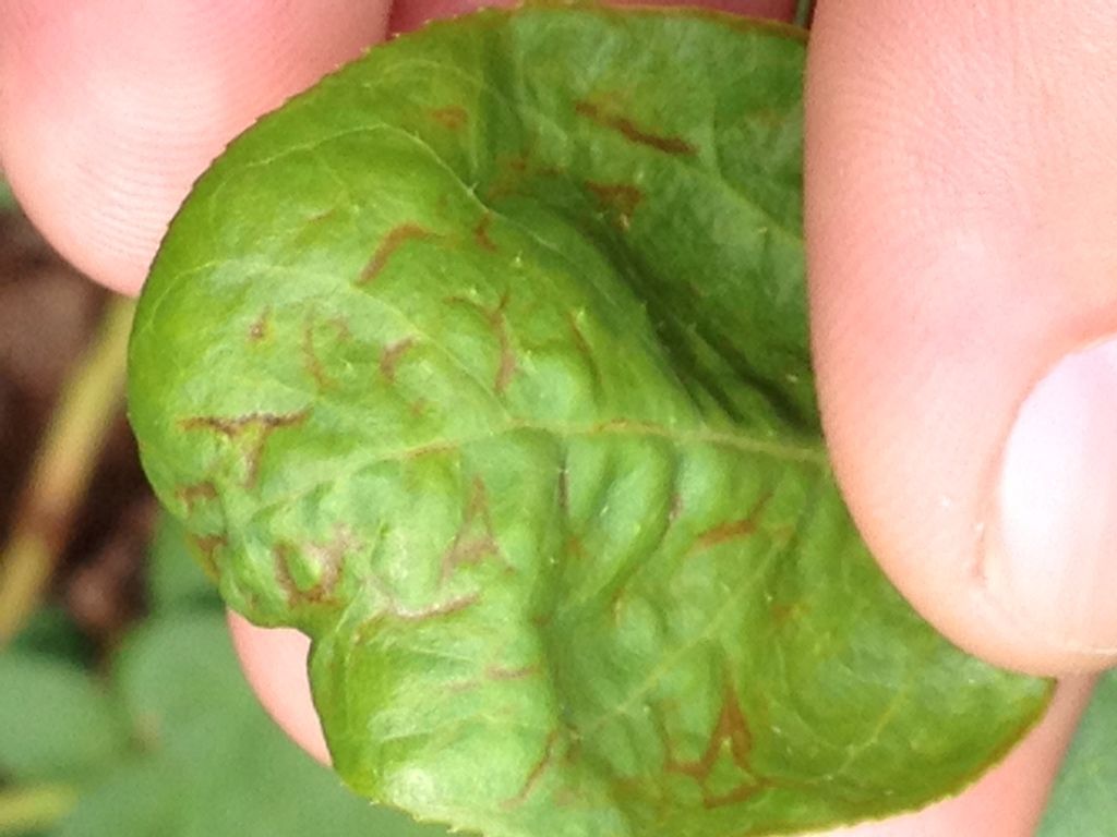 Photobucket Pictures, Images and Photos