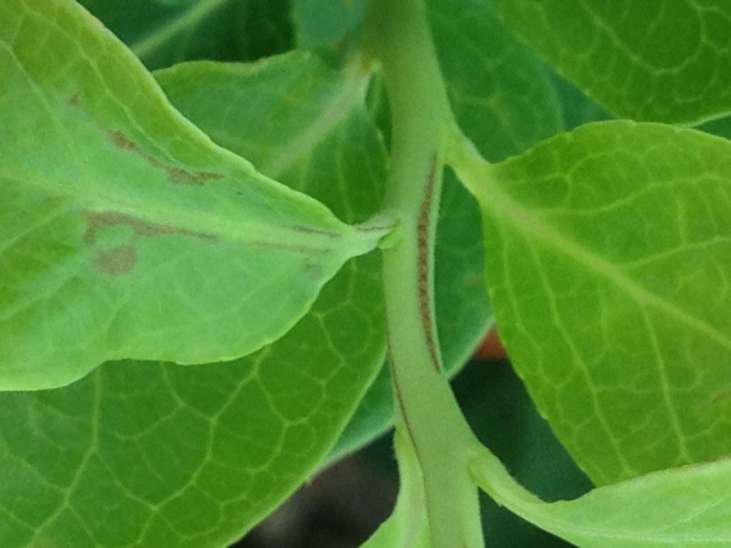 Photobucket Pictures, Images and Photos