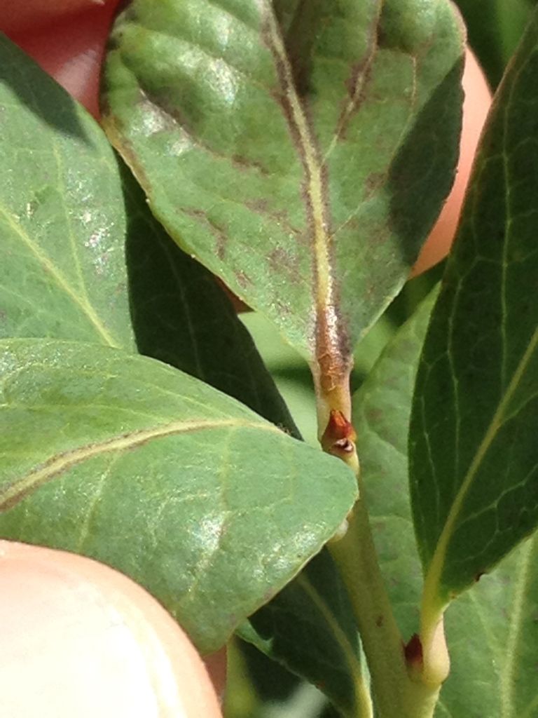 Photobucket Pictures, Images and Photos