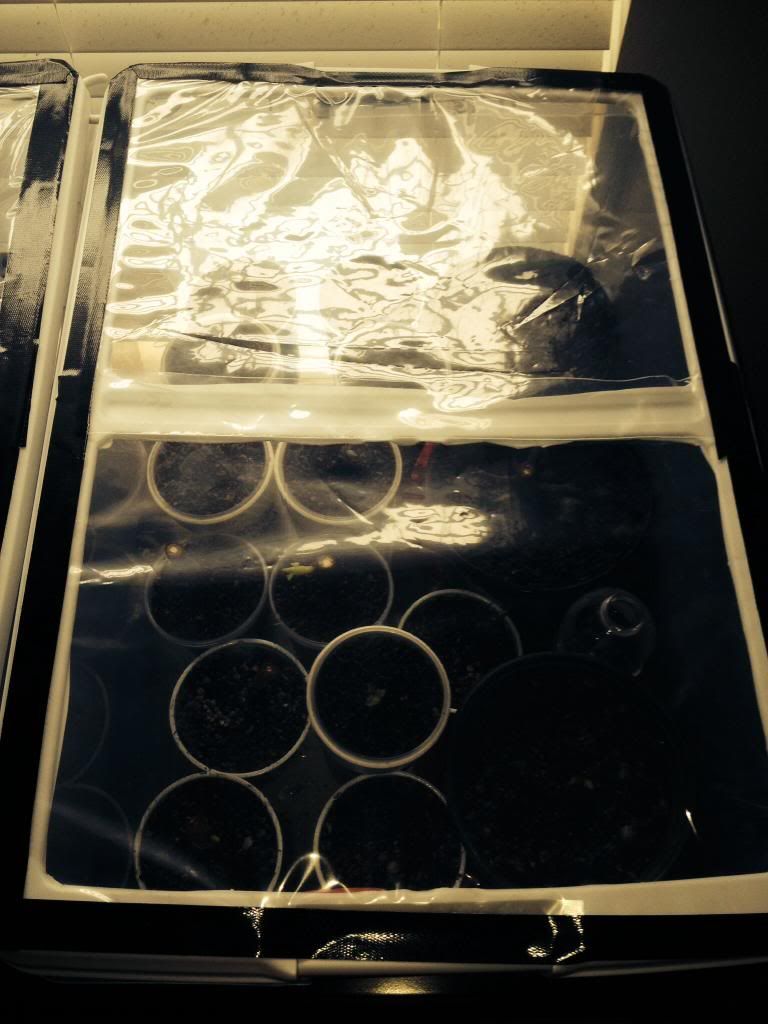  photo image_zps03f9b423.jpg