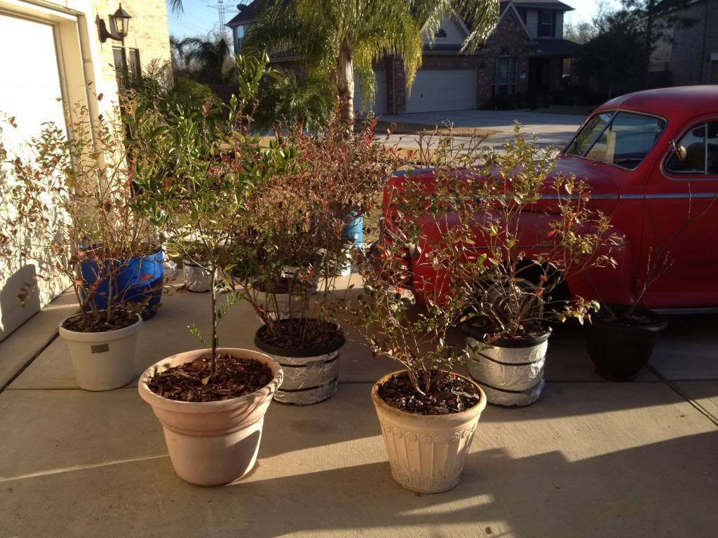  photo image_zps8fca8531.jpg