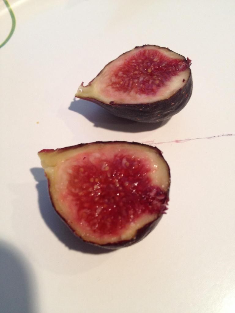  photo image_zpsbbd6c4d8.jpg