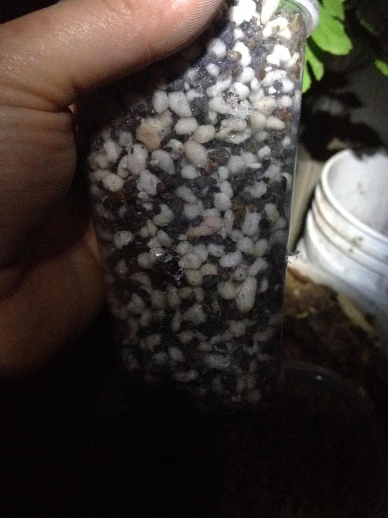  photo image_zpsf1e13e0c.jpg