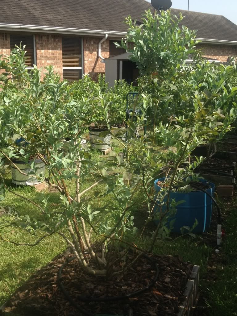 Photobucket Pictures, Images and Photos