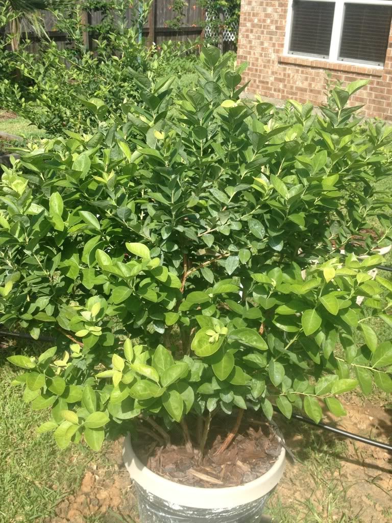 Photobucket Pictures, Images and Photos