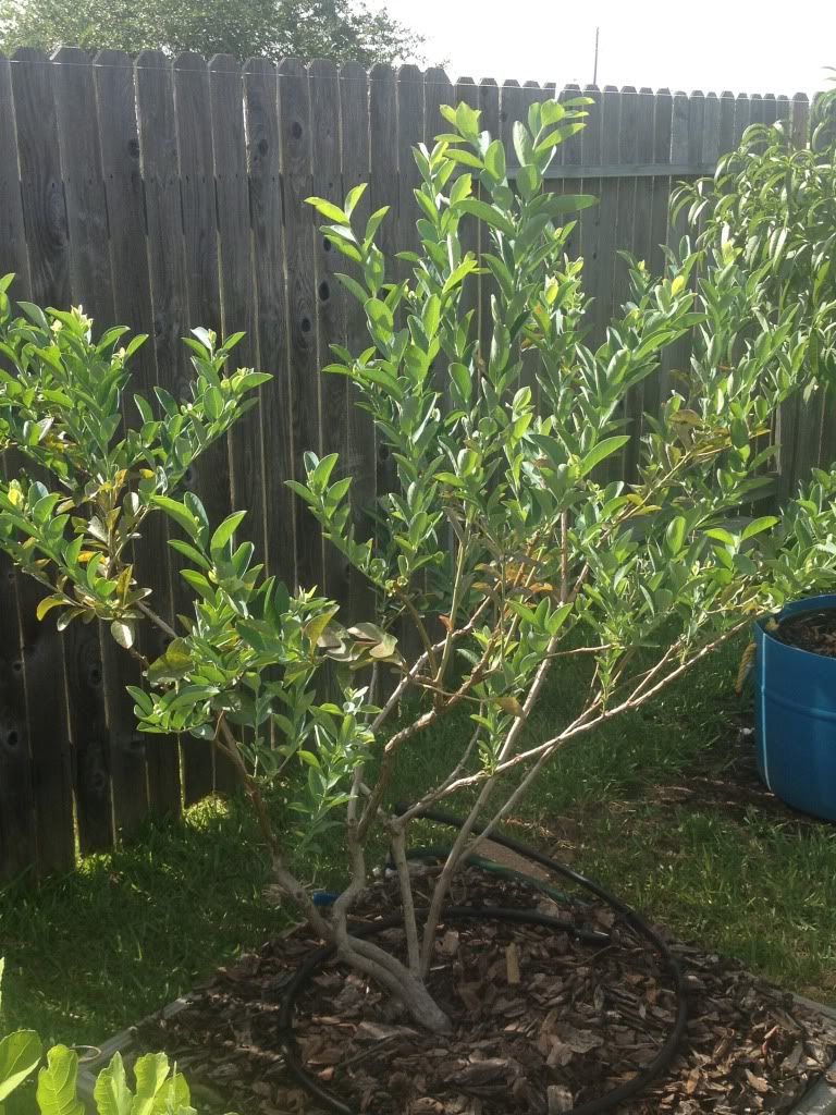 Photobucket Pictures, Images and Photos