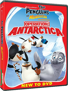 penguins-box2.png