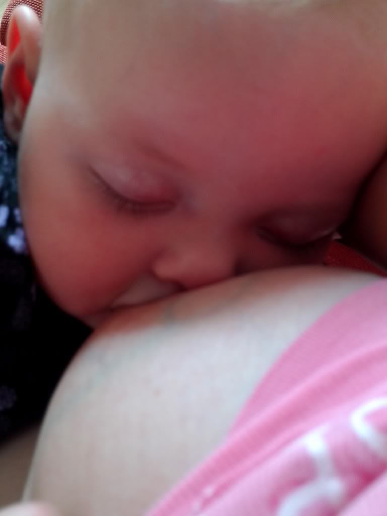 IMG_20130725_115408.jpg