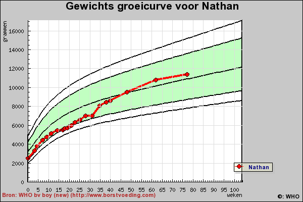 gewicht-2.png
