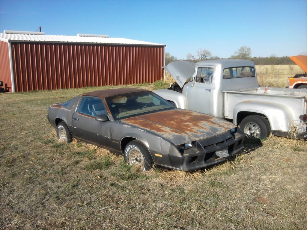 For Sale 1984 Berlinetta Camaro5 Chevy Camaro Forum