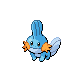 Mudkip.png