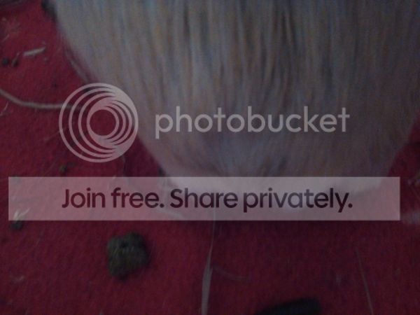 001b2f0b-5542-4d7a-ae7d-99de8e0abbbe.jpg