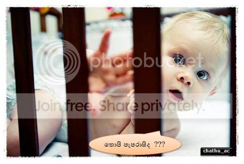 1299329461.jpg