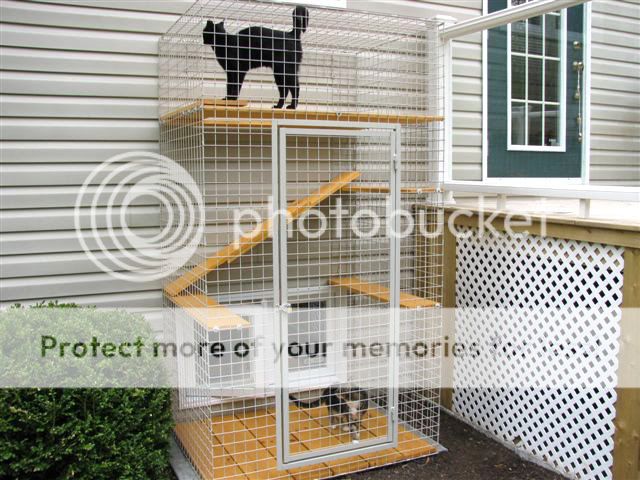 Catbitats Safe Outdoor Enclosures for Your Inside Cat I E CatioS 